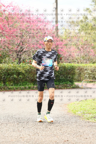 2026左岸竹東櫻花馬拉松Zhudong Sakura Marathon