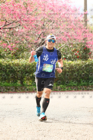 2026左岸竹東櫻花馬拉松Zhudong Sakura Marathon