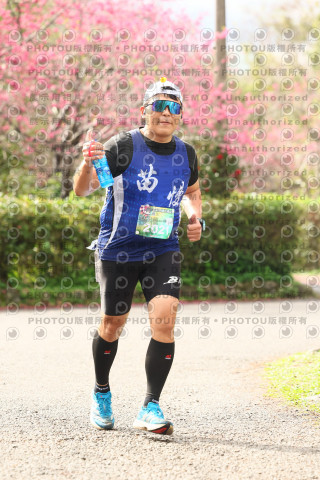 2026左岸竹東櫻花馬拉松Zhudong Sakura Marathon