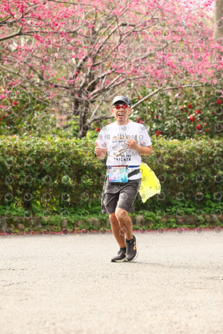 2026左岸竹東櫻花馬拉松Zhudong Sakura Marathon
