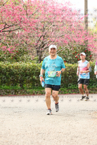 2026左岸竹東櫻花馬拉松Zhudong Sakura Marathon
