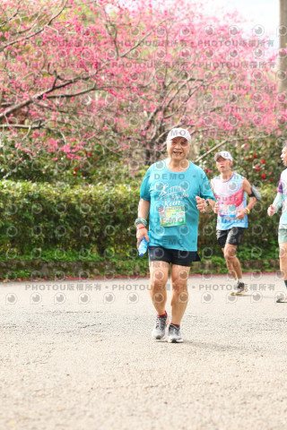 2026左岸竹東櫻花馬拉松Zhudong Sakura Marathon