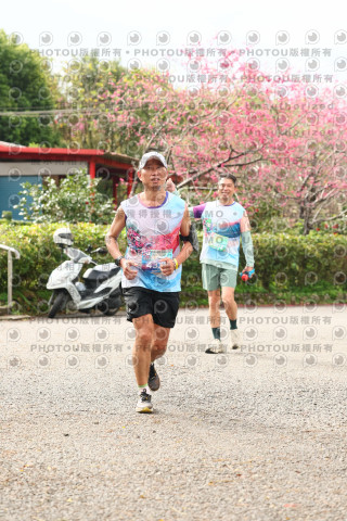 2026左岸竹東櫻花馬拉松Zhudong Sakura Marathon
