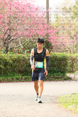 2026左岸竹東櫻花馬拉松Zhudong Sakura Marathon
