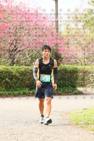 2026左岸竹東櫻花馬拉松Zhudong Sakura Marathon