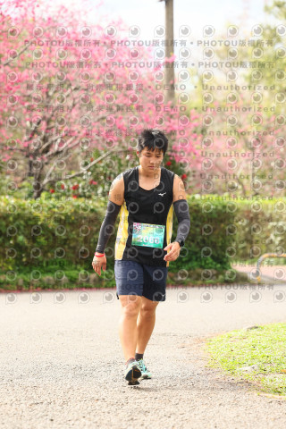 2026左岸竹東櫻花馬拉松Zhudong Sakura Marathon