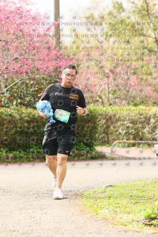 2026左岸竹東櫻花馬拉松Zhudong Sakura Marathon