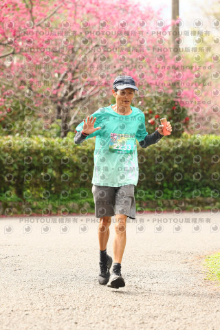 2026左岸竹東櫻花馬拉松Zhudong Sakura Marathon