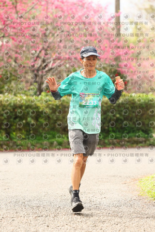 2026左岸竹東櫻花馬拉松Zhudong Sakura Marathon