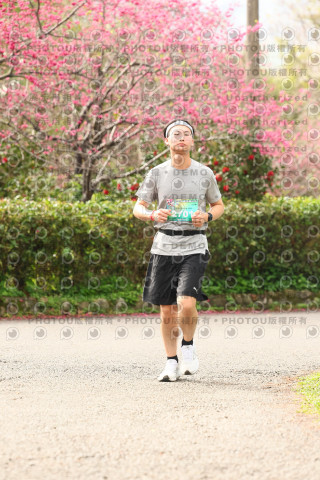 2026左岸竹東櫻花馬拉松Zhudong Sakura Marathon
