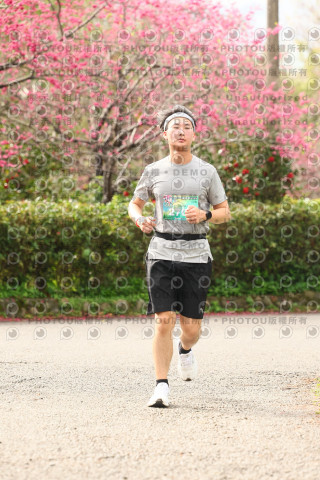 2026左岸竹東櫻花馬拉松Zhudong Sakura Marathon