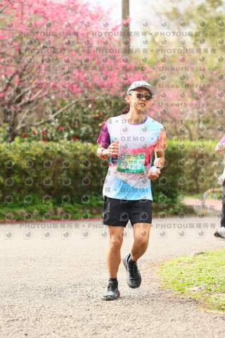 2026左岸竹東櫻花馬拉松Zhudong Sakura Marathon
