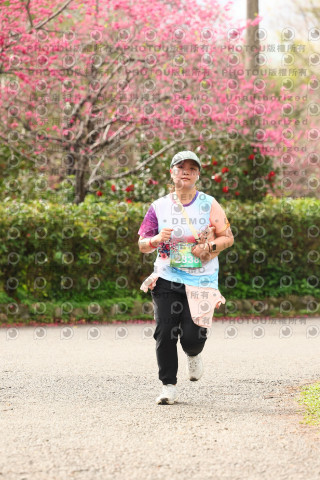2026左岸竹東櫻花馬拉松Zhudong Sakura Marathon