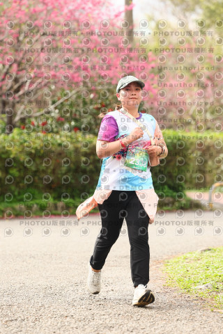 2026左岸竹東櫻花馬拉松Zhudong Sakura Marathon