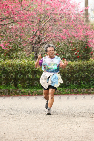 2026左岸竹東櫻花馬拉松Zhudong Sakura Marathon