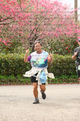 2026左岸竹東櫻花馬拉松Zhudong Sakura Marathon
