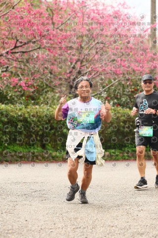 2026左岸竹東櫻花馬拉松Zhudong Sakura Marathon