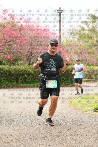 2026左岸竹東櫻花馬拉松Zhudong Sakura Marathon