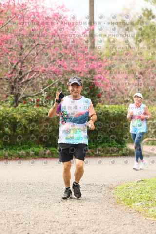 2026左岸竹東櫻花馬拉松Zhudong Sakura Marathon