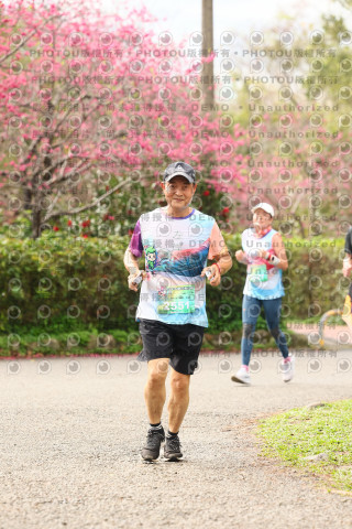 2026左岸竹東櫻花馬拉松Zhudong Sakura Marathon