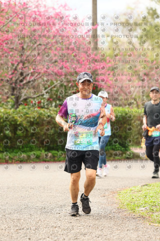 2026左岸竹東櫻花馬拉松Zhudong Sakura Marathon