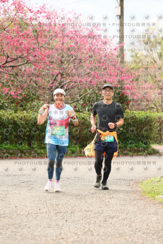 2026左岸竹東櫻花馬拉松Zhudong Sakura Marathon