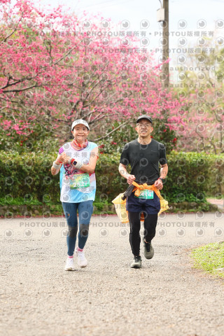 2026左岸竹東櫻花馬拉松Zhudong Sakura Marathon