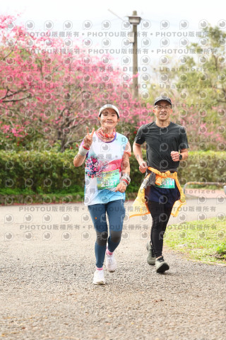 2026左岸竹東櫻花馬拉松Zhudong Sakura Marathon