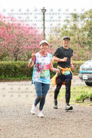 2026左岸竹東櫻花馬拉松Zhudong Sakura Marathon