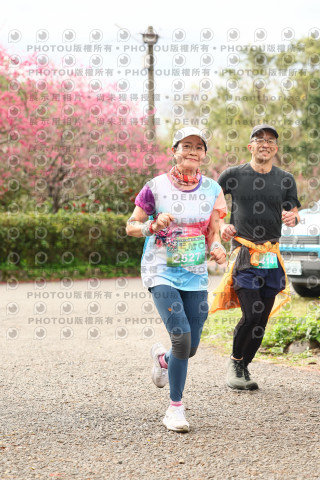 2026左岸竹東櫻花馬拉松Zhudong Sakura Marathon