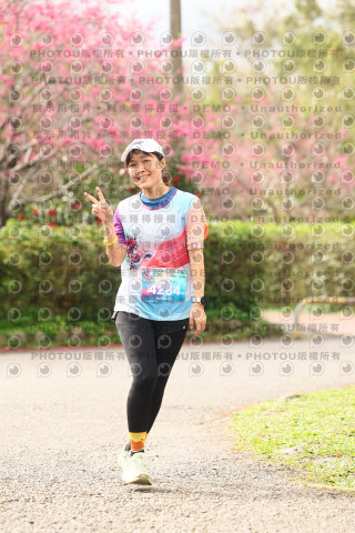 2026左岸竹東櫻花馬拉松Zhudong Sakura Marathon