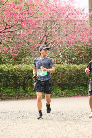 2026左岸竹東櫻花馬拉松Zhudong Sakura Marathon