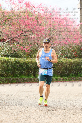 2026左岸竹東櫻花馬拉松Zhudong Sakura Marathon