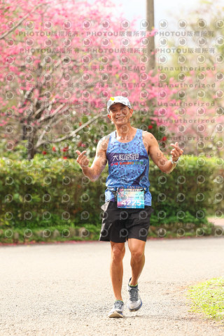 2026左岸竹東櫻花馬拉松Zhudong Sakura Marathon