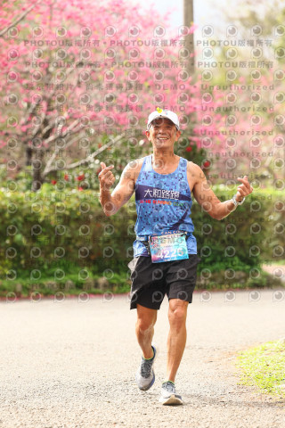 2026左岸竹東櫻花馬拉松Zhudong Sakura Marathon