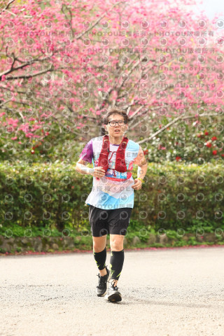 2026左岸竹東櫻花馬拉松Zhudong Sakura Marathon