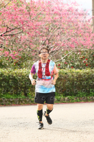 2026左岸竹東櫻花馬拉松Zhudong Sakura Marathon