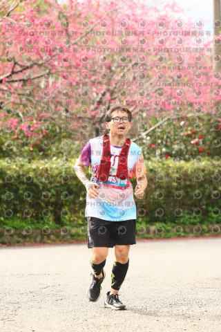 2026左岸竹東櫻花馬拉松Zhudong Sakura Marathon