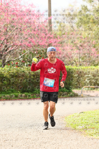 2026左岸竹東櫻花馬拉松Zhudong Sakura Marathon