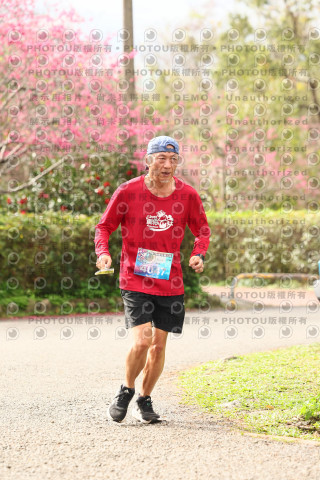 2026左岸竹東櫻花馬拉松Zhudong Sakura Marathon