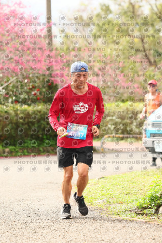 2026左岸竹東櫻花馬拉松Zhudong Sakura Marathon