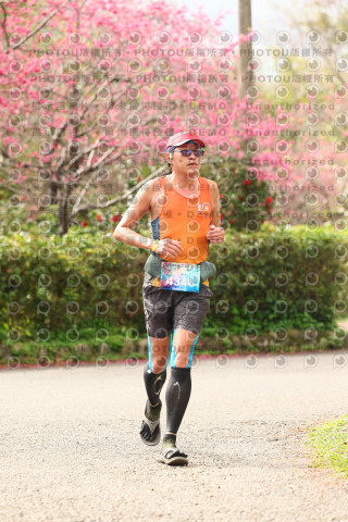 2026左岸竹東櫻花馬拉松Zhudong Sakura Marathon
