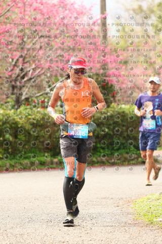 2026左岸竹東櫻花馬拉松Zhudong Sakura Marathon