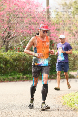 2026左岸竹東櫻花馬拉松Zhudong Sakura Marathon