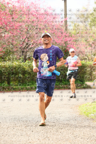 2026左岸竹東櫻花馬拉松Zhudong Sakura Marathon