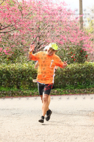 2026左岸竹東櫻花馬拉松Zhudong Sakura Marathon