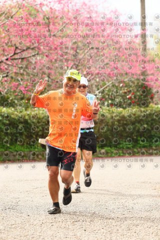 2026左岸竹東櫻花馬拉松Zhudong Sakura Marathon