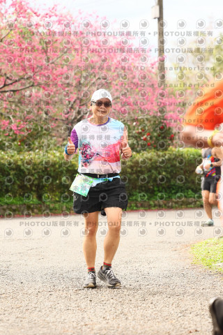 2026左岸竹東櫻花馬拉松Zhudong Sakura Marathon