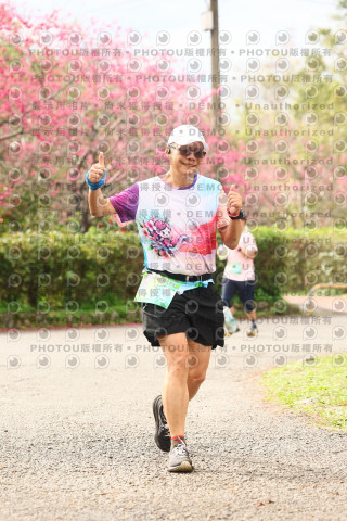 2026左岸竹東櫻花馬拉松Zhudong Sakura Marathon