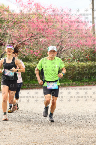 2026左岸竹東櫻花馬拉松Zhudong Sakura Marathon